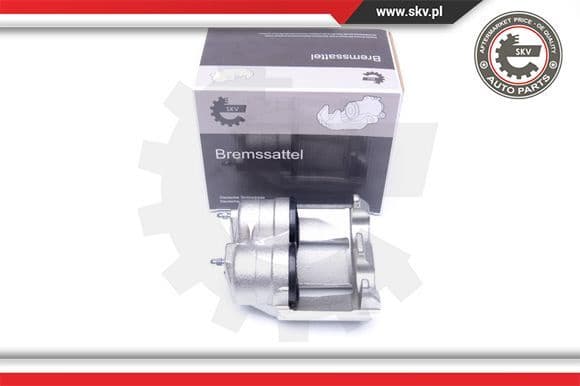 Brake Caliper 42SKV121