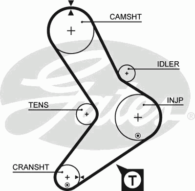 Timing Belt PowerGrip™ 5039