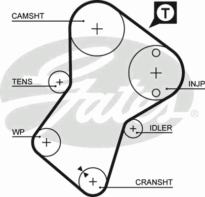 Timing Belt PowerGrip™ 5049XS