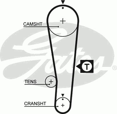 Timing Belt PowerGrip™ 5393XS