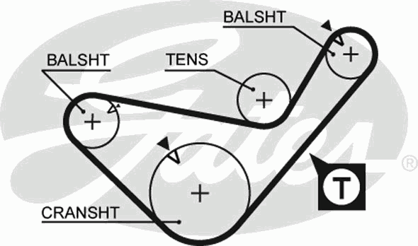 Timing Belt PowerGrip™ 5436XS