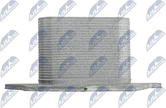 CCL-BM-025 - image 4