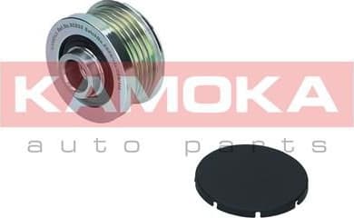 Alternator Freewheel Clutch RC052