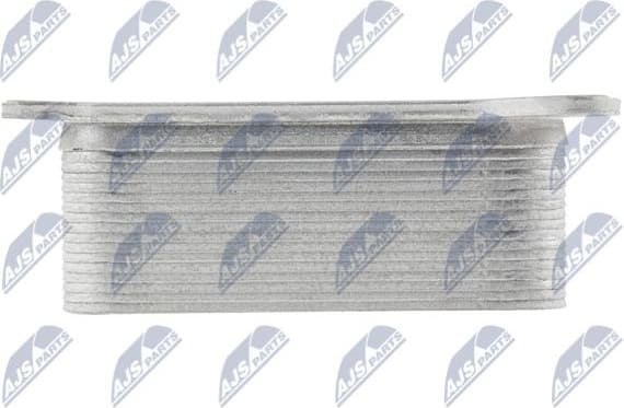 CCL-BM-021 - image 3