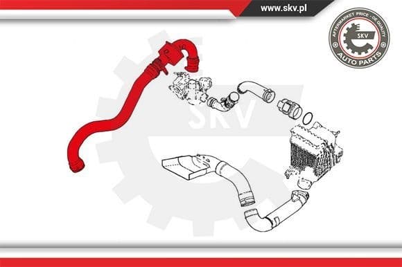 Charge Air Hose 24SKV659 - image 4