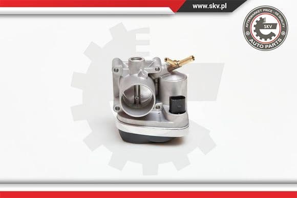 Throttle Body 12SKV028