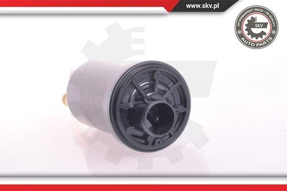 Fuel Pump 02SKV276