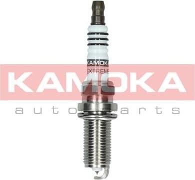 Spark Plug 7100039