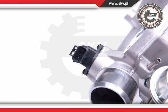 EGR Valve 14SKV156
