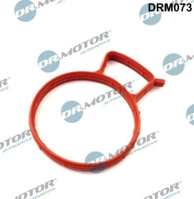 Gasket, throttle body DRM073