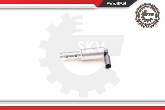 Control Valve, camshaft adjustment 39SKV009