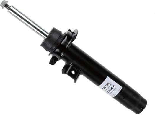 Shock absorber front 319733