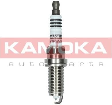 Spark Plug 7100056