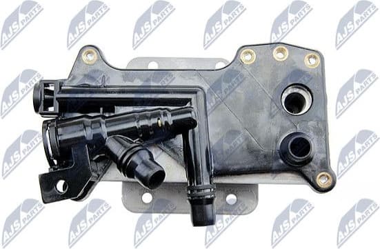 CCL-BM-009 - image 3