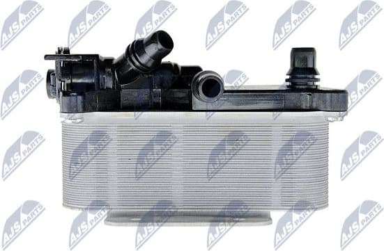 CCL-BM-009 - image 4