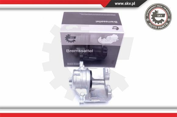 Brake Caliper 42SKV802