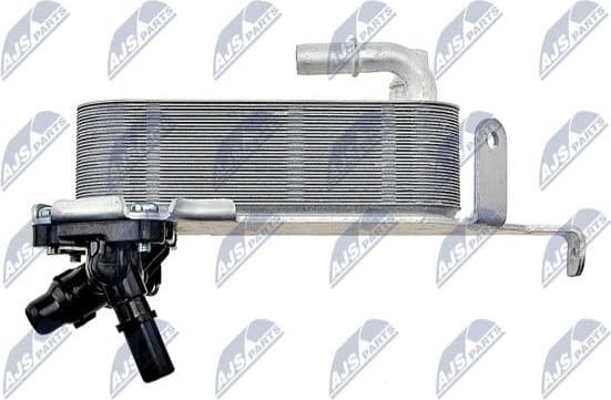 CCL-BM-011 - image 4