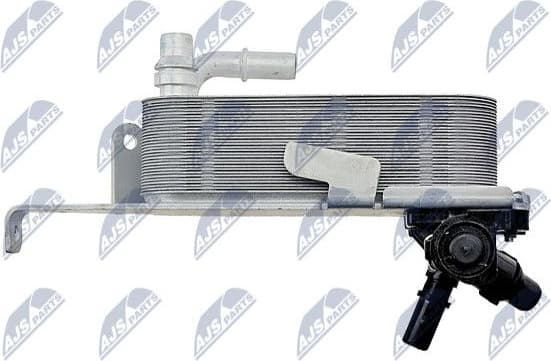 CCL-BM-011 - image 5