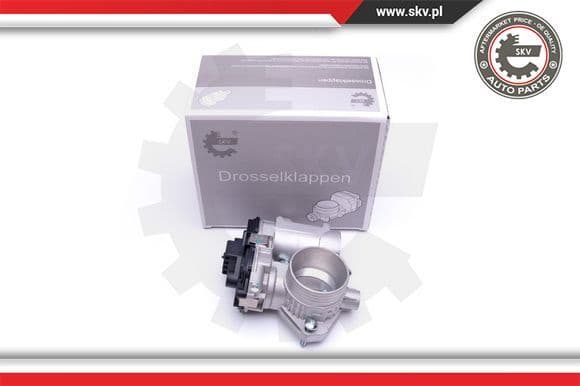 Throttle Body 12SKV073