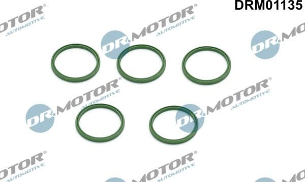 Seal Ring, charge air hose DRM01135