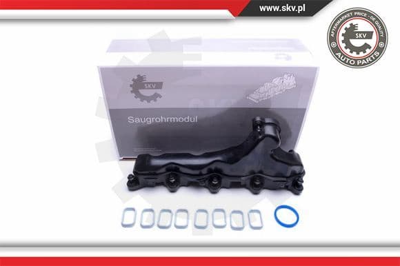 Intake Manifold Module 49SKV032