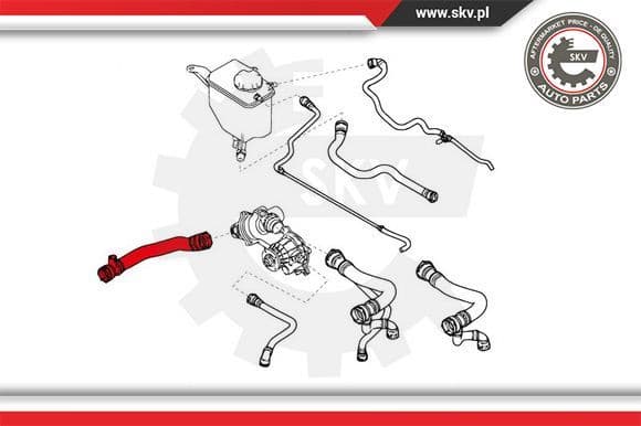 Radiator Hose 43SKV719 - image 4