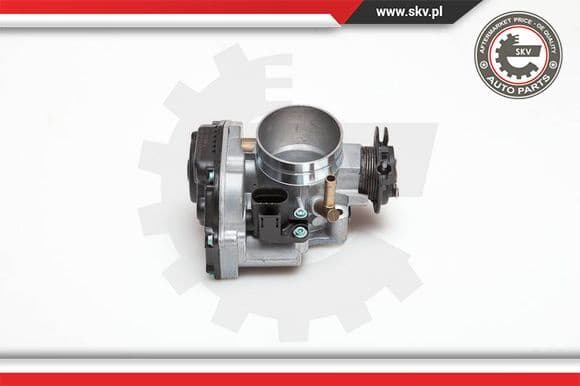 Throttle Body 12SKV003
