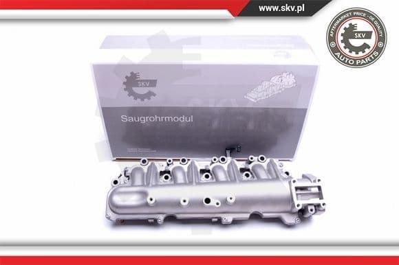 Intake Manifold Module 49SKV029