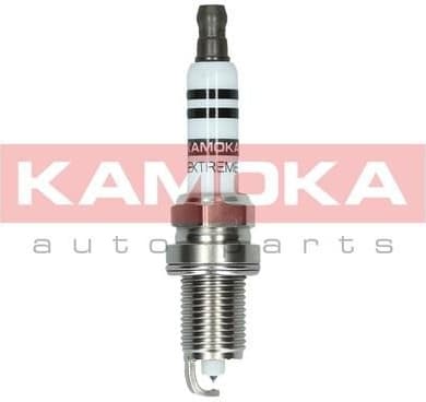 Spark Plug 7100006