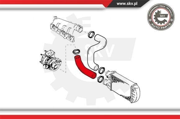 Charge Air Hose 24SKV855 - image 4