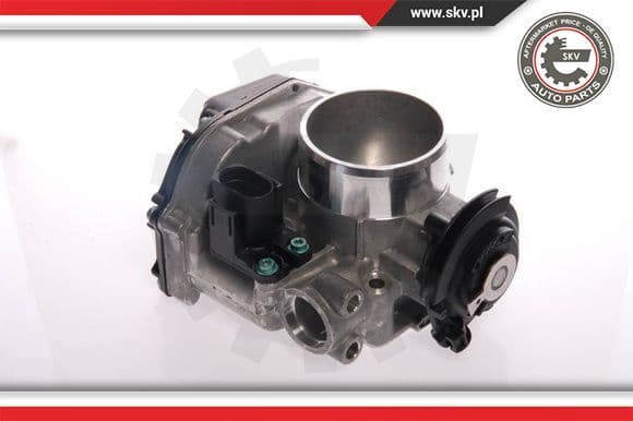 Throttle Body 12SKV013