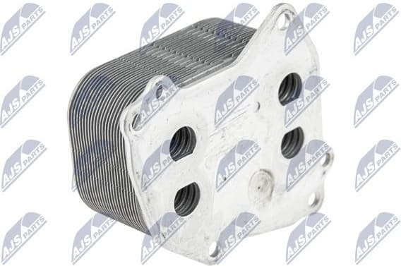 CCL-BM-023 - image 2