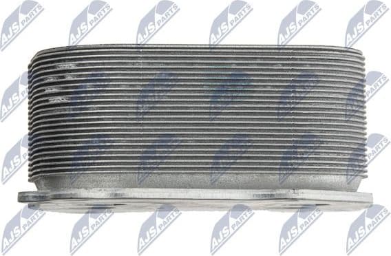 CCL-BM-023 - image 4