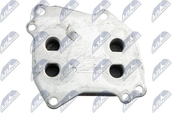 CCL-BM-023 - image 5