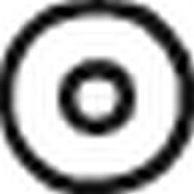 Spring Washer, exhaust system 258-784