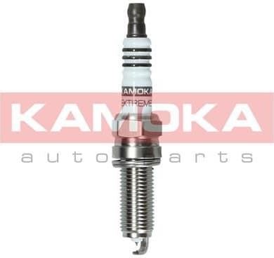 Spark Plug 7100042