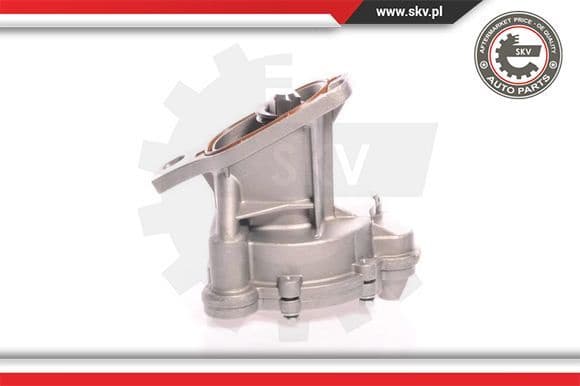 Vacuum Pump, braking system 18SKV006