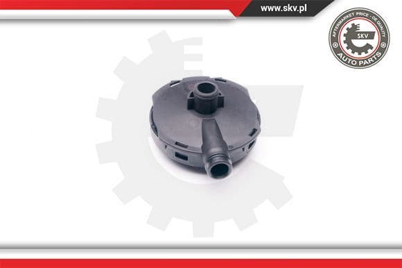 Valve, crankcase ventilation 31SKV021