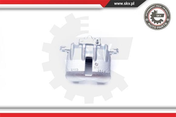 Brake Caliper 42SKV181