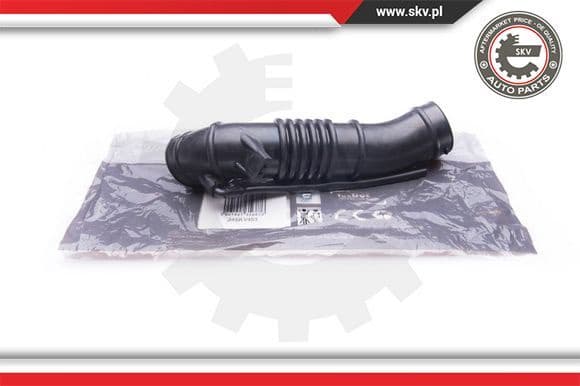 Intake Hose, air filter 24SKV453