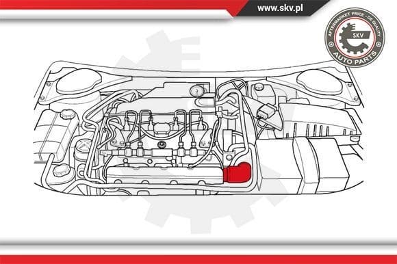 Charge Air Hose 24SKV216