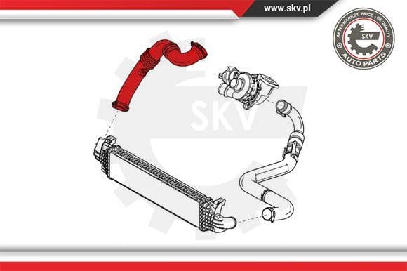 Charge Air Hose 24SKV802 - image 3