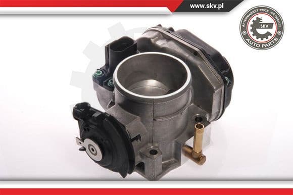 Throttle Body 12SKV022