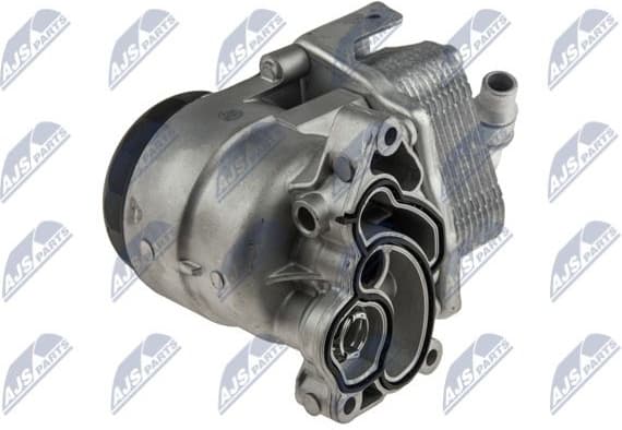 CCL-BM-019 - image 2