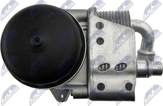 CCL-BM-019 - image 4