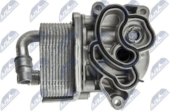 CCL-BM-019 - image 6