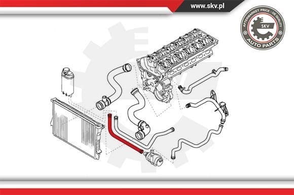 Radiator Hose 24SKV254 - image 4