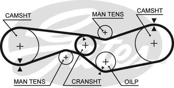 Timing Belt PowerGrip™ 5012