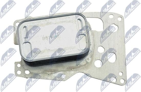 CCL-TY-003 - image 3