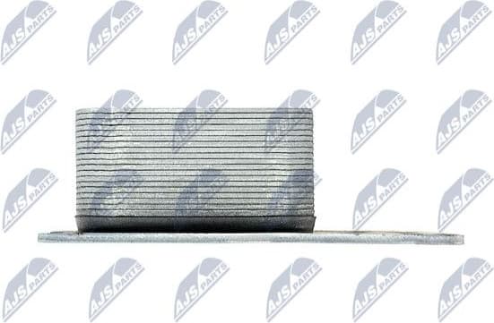 CCL-TY-003 - image 4